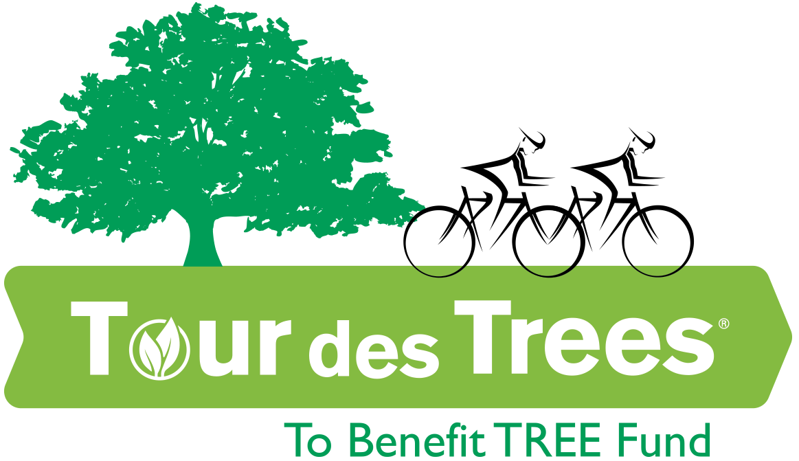 TDT-Logo.png