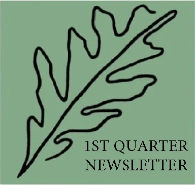 leaf- 1ST QUARTER NEWSLETTER.jpg