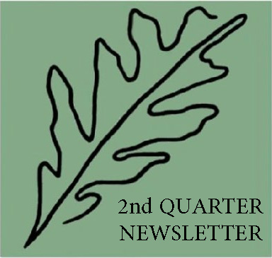 2nd quarter newsletter leaf.jpg