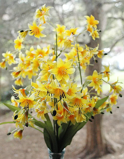 We maintain a keen appreciation for natural beauty and way it can enhance life experiences for rehabilitation patients and long term residents.