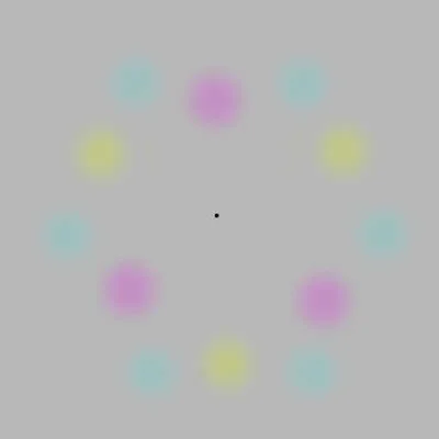 Disappearing Color Spots Illusion.jpg