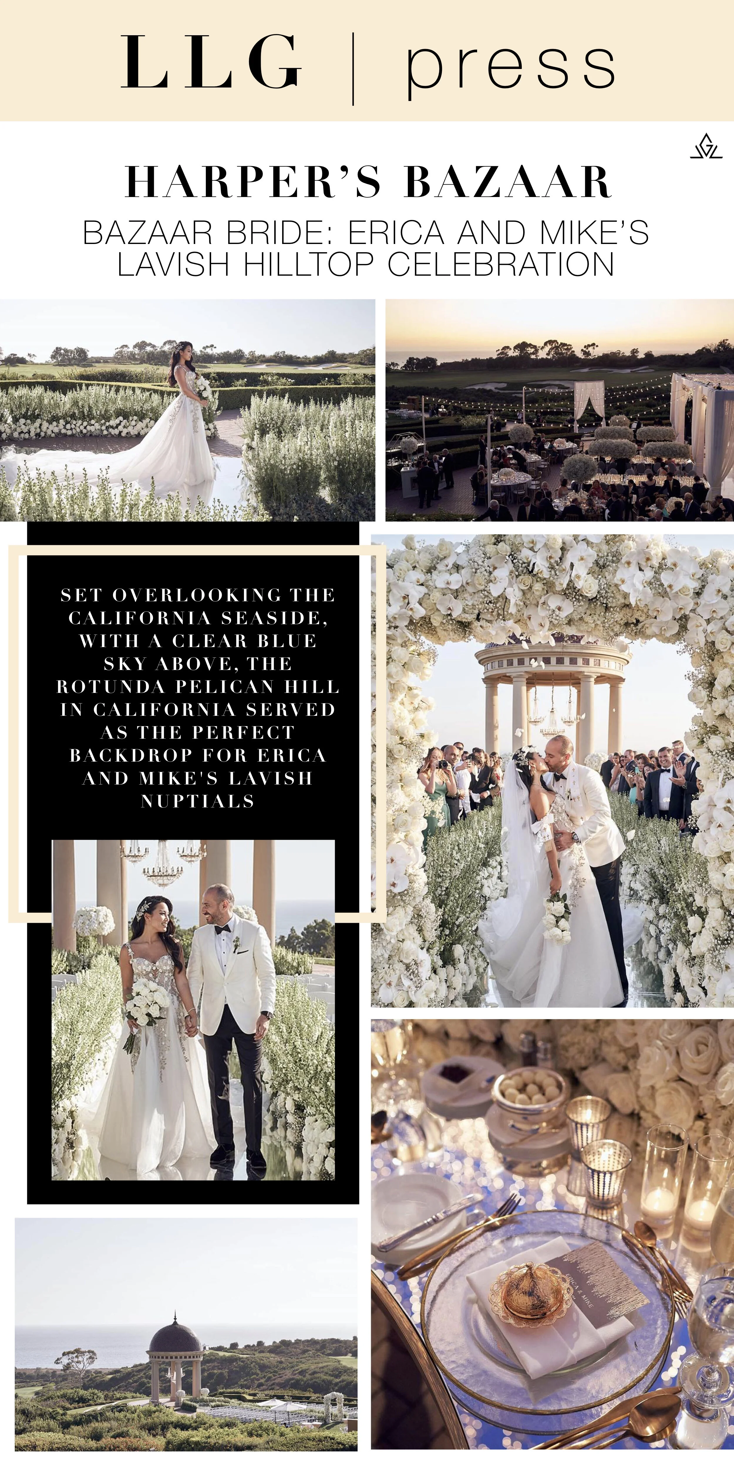 coast erica spot dress