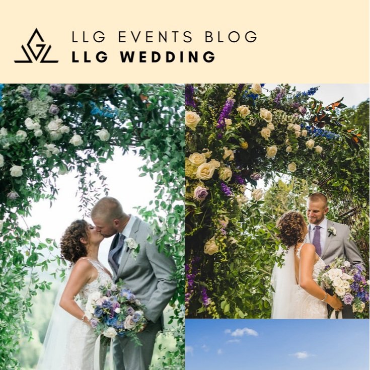 Pro-Bono Wedding: Lauren + Marty | Asheville, North Carolina