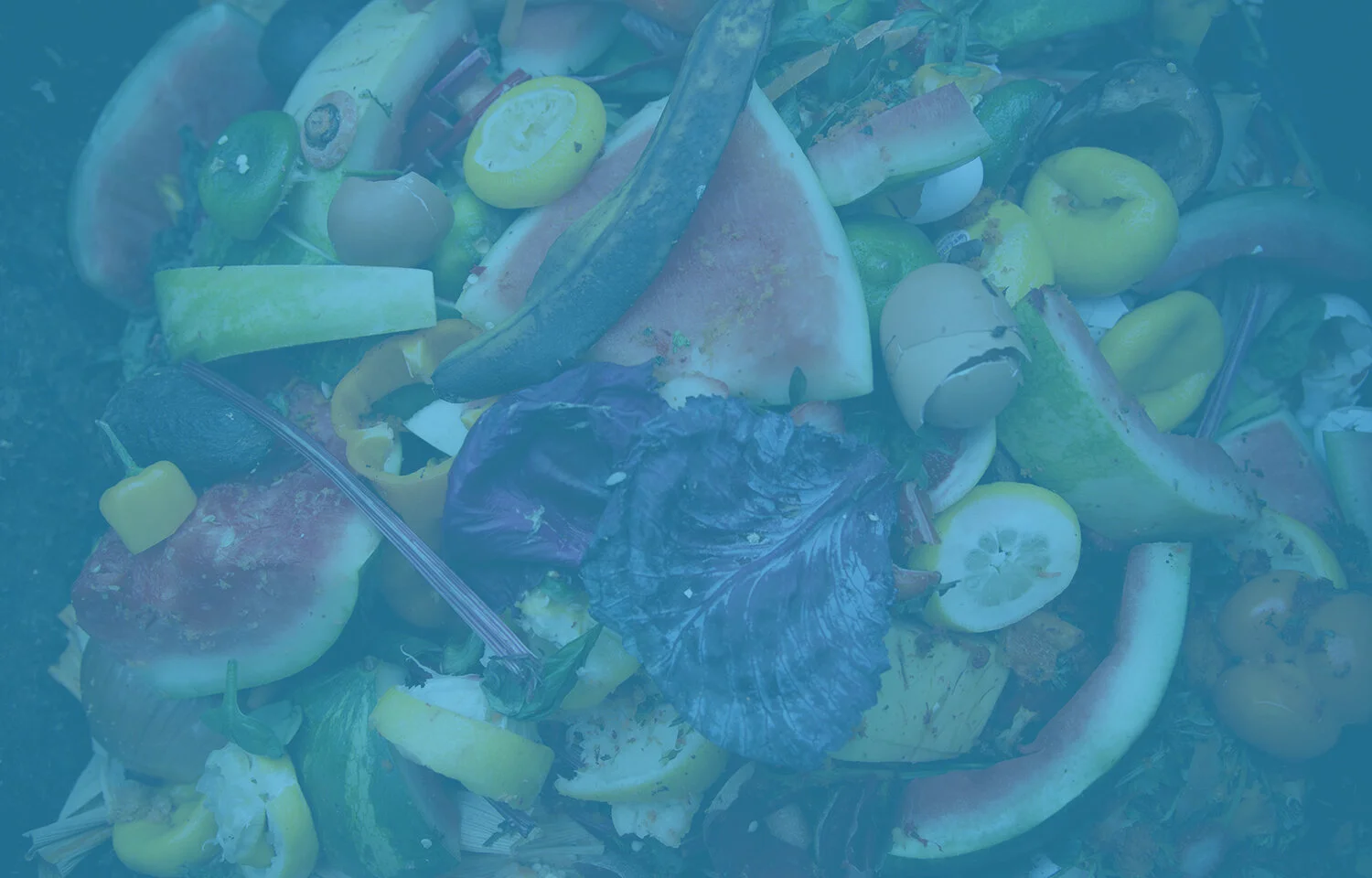 HPBlue_stock-photo-colorful-compost-bin-in-new-york-1062876239.jpg