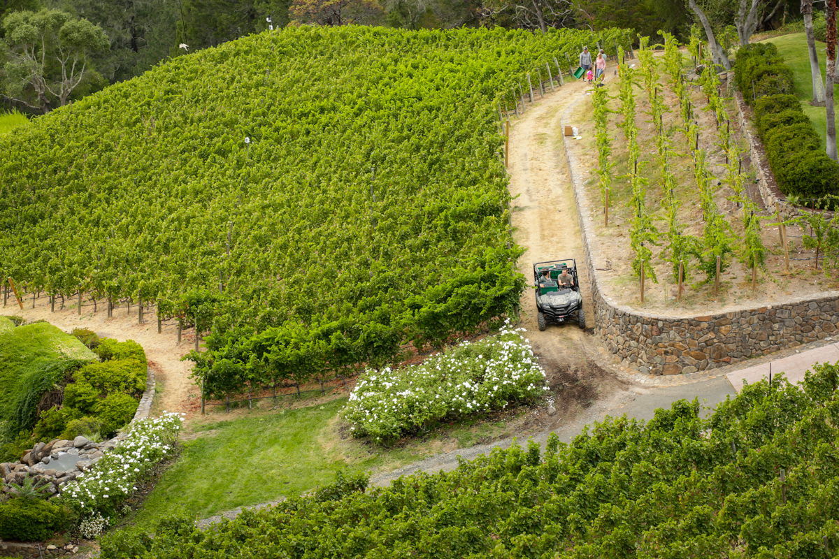TeachworthWinery2018 (5 of 28).jpg
