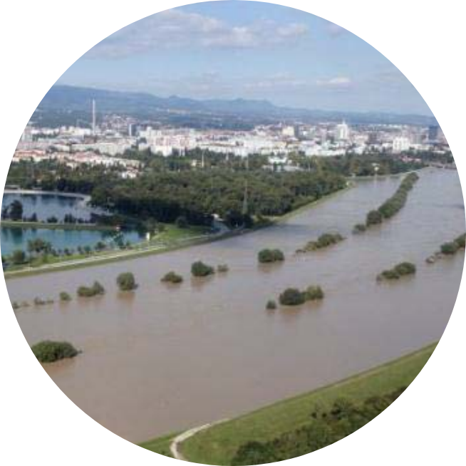Program Sava Thumbnail.png