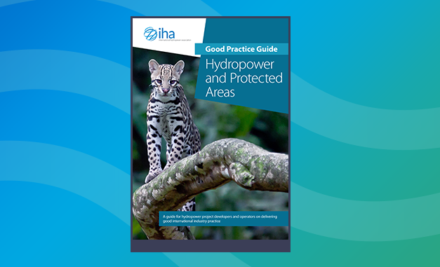 IHA releases guidance on hydropower development in Protected Areas