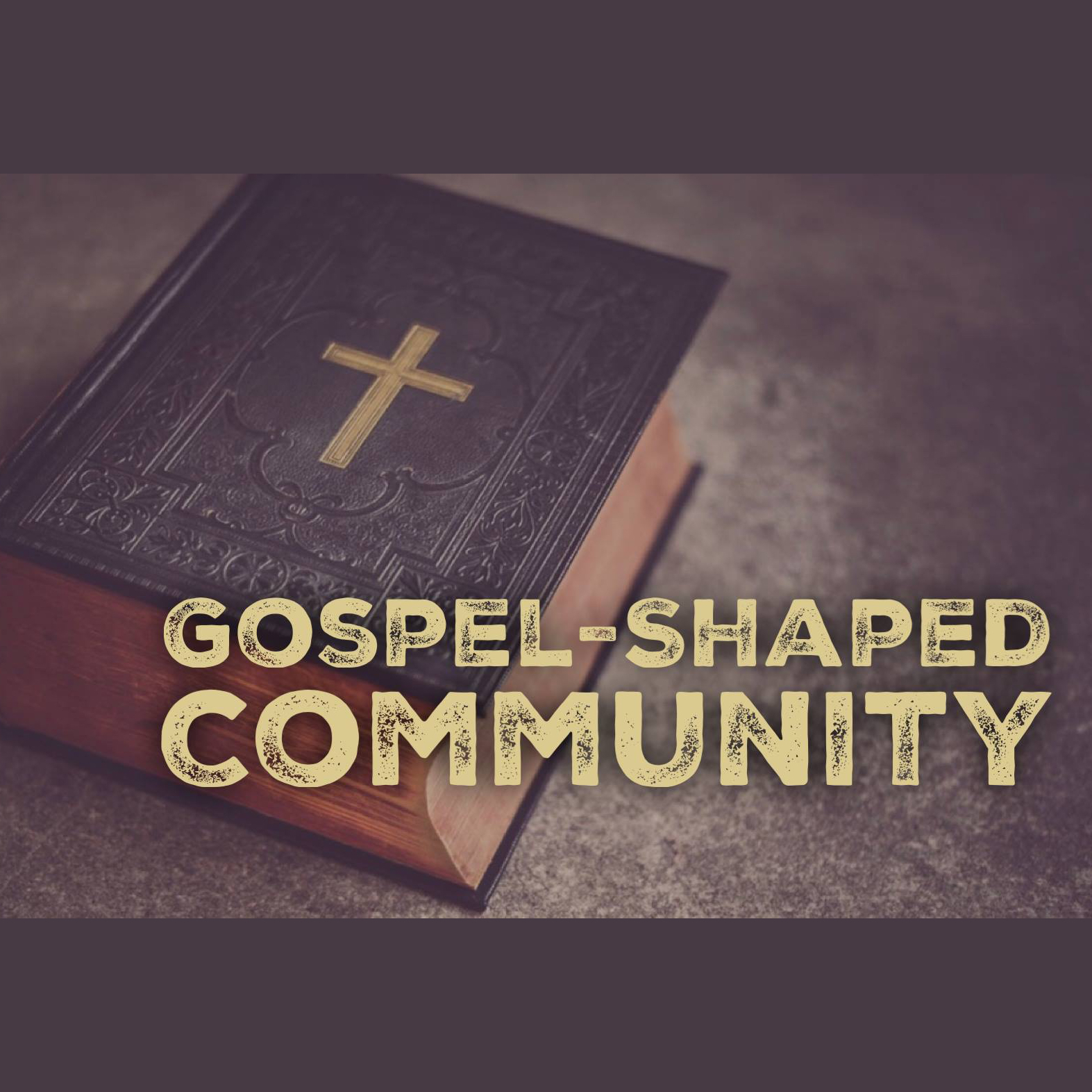 Gospel-Shaped Community
