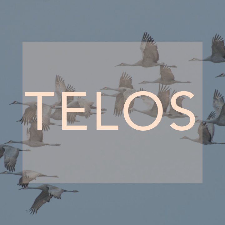 Telos