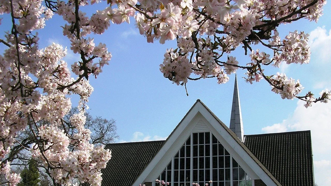 05-04-2026 | Nick Hutchinson - Follow Jesus (Acts 10:34-43, John 20:1-18).