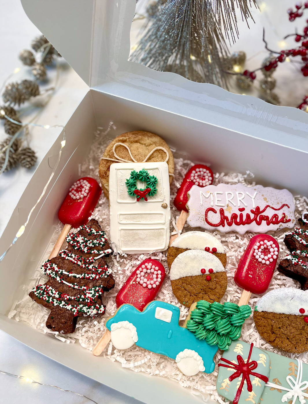 Screen Shot 2021-12-16 at 12.49.52 PM.png