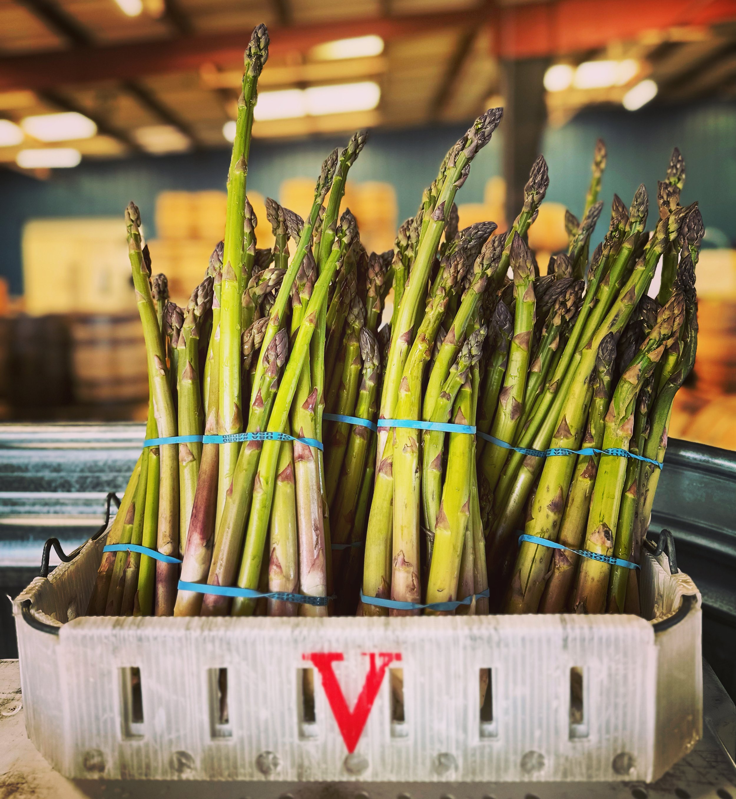 Asparagus bunches_shop.jpg