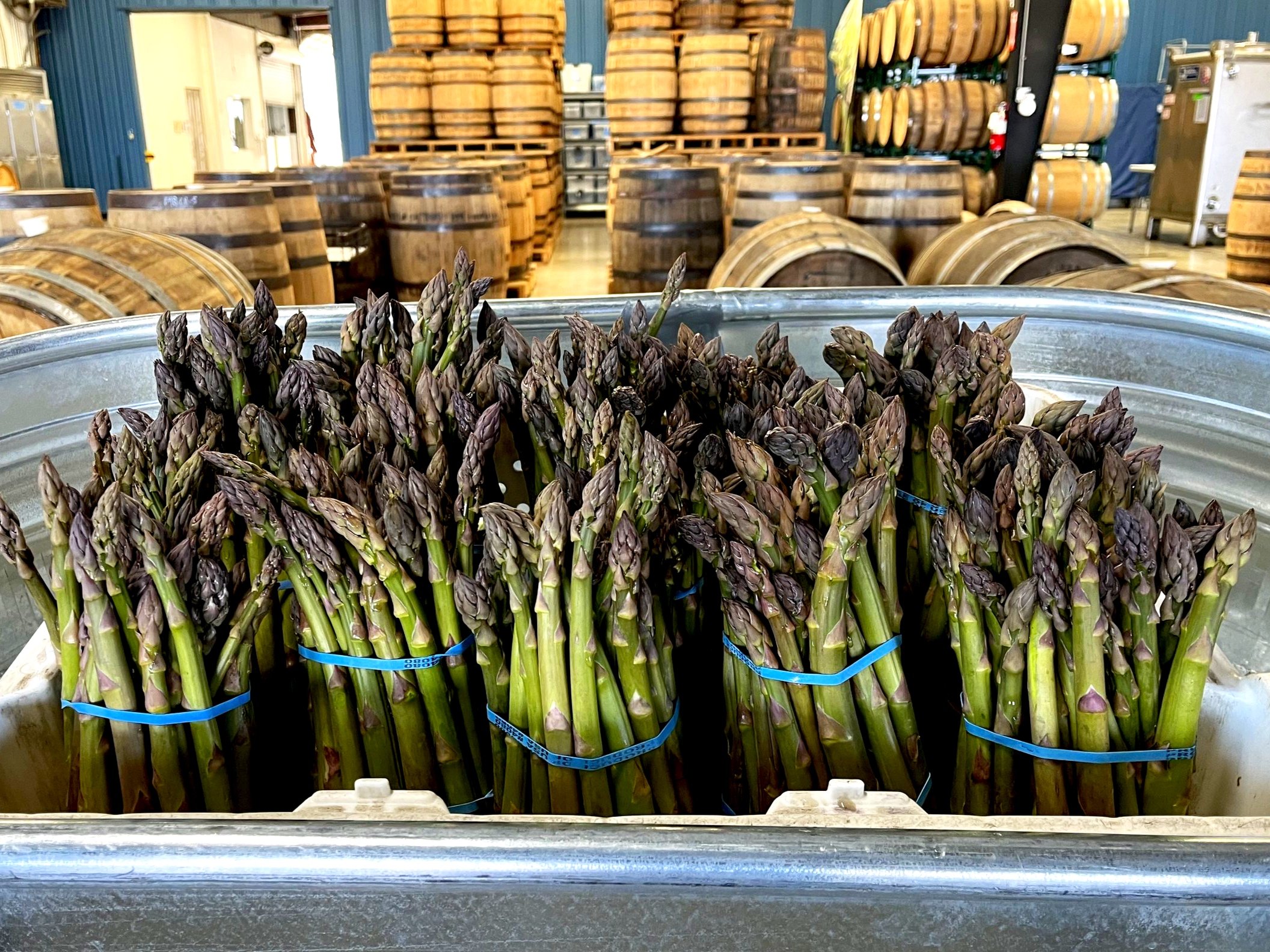 Farm fresh asparagus