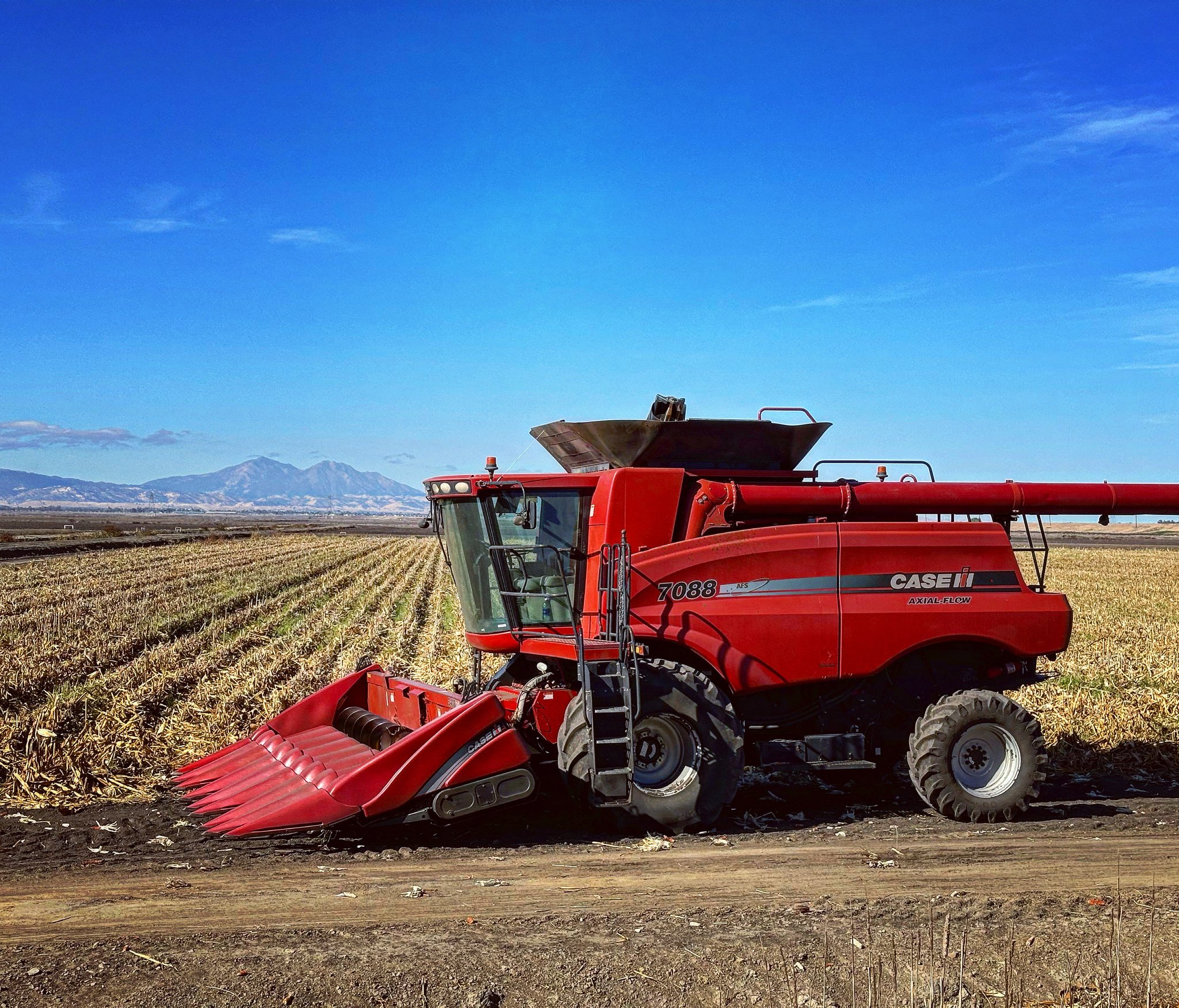 Corn Harvest on Victoria Island Farms