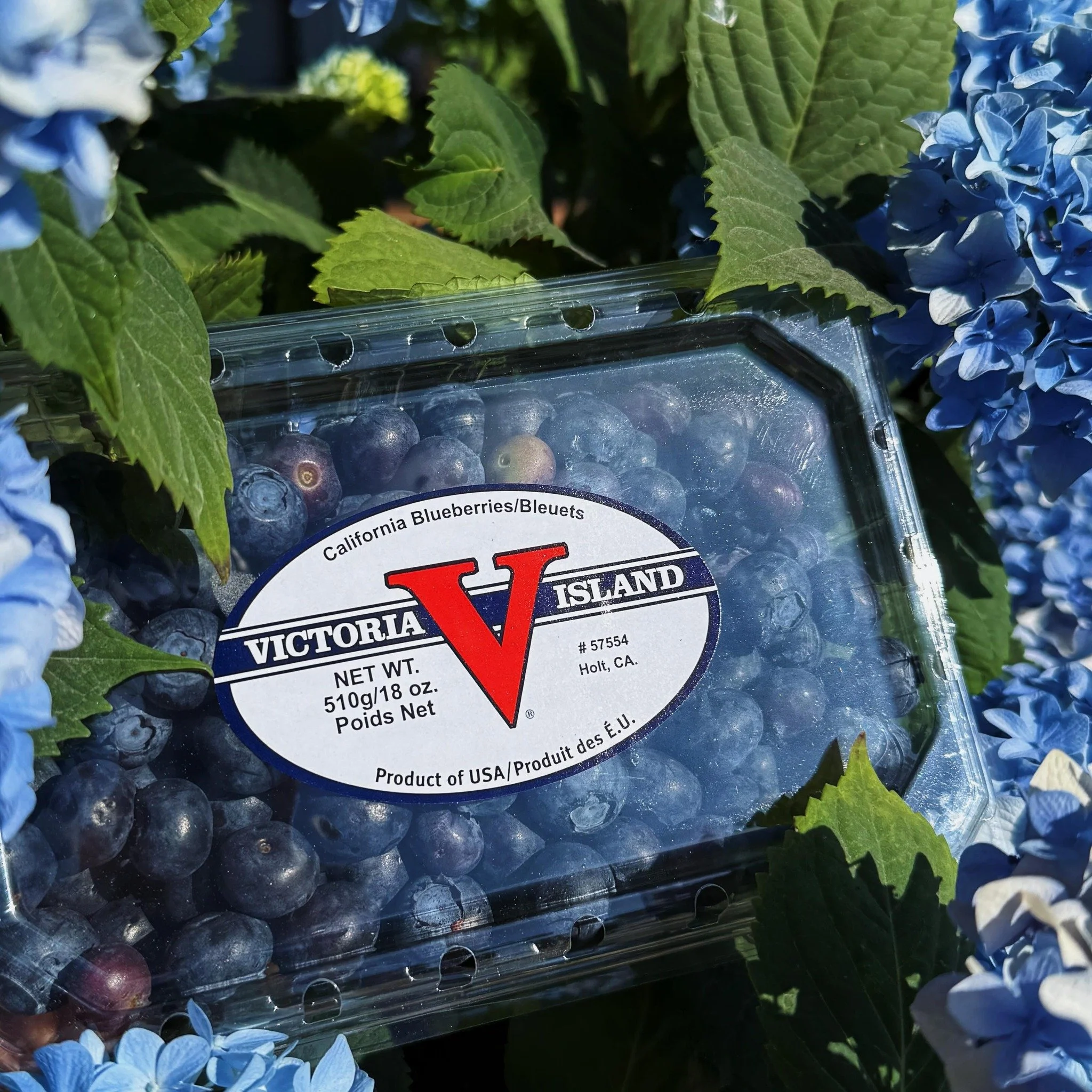 pre packed blueberries.jpg