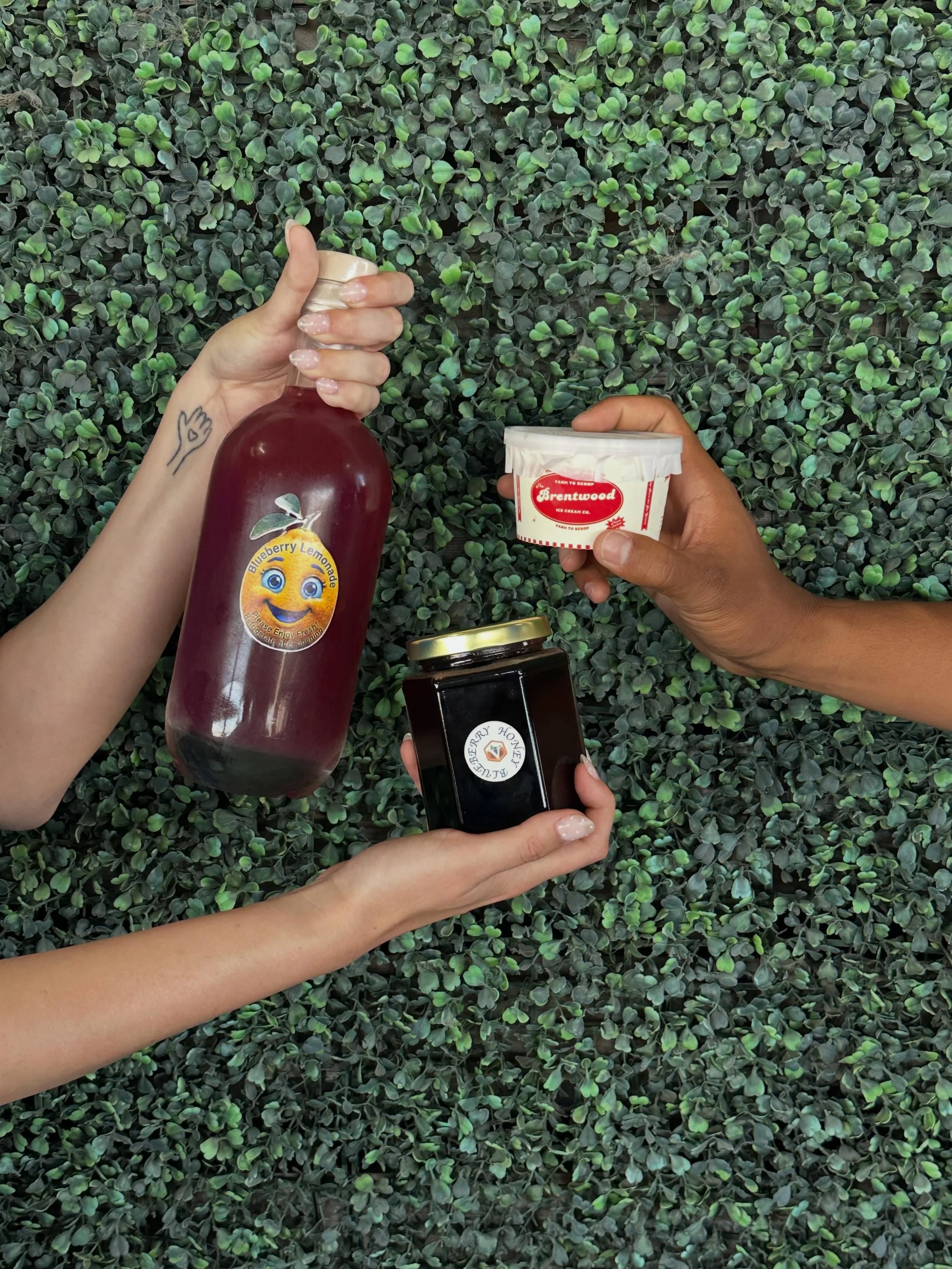 Happy Memorial Day! 

U-Pick is open today! Come stock up on all your Blueberry essentials 🫐