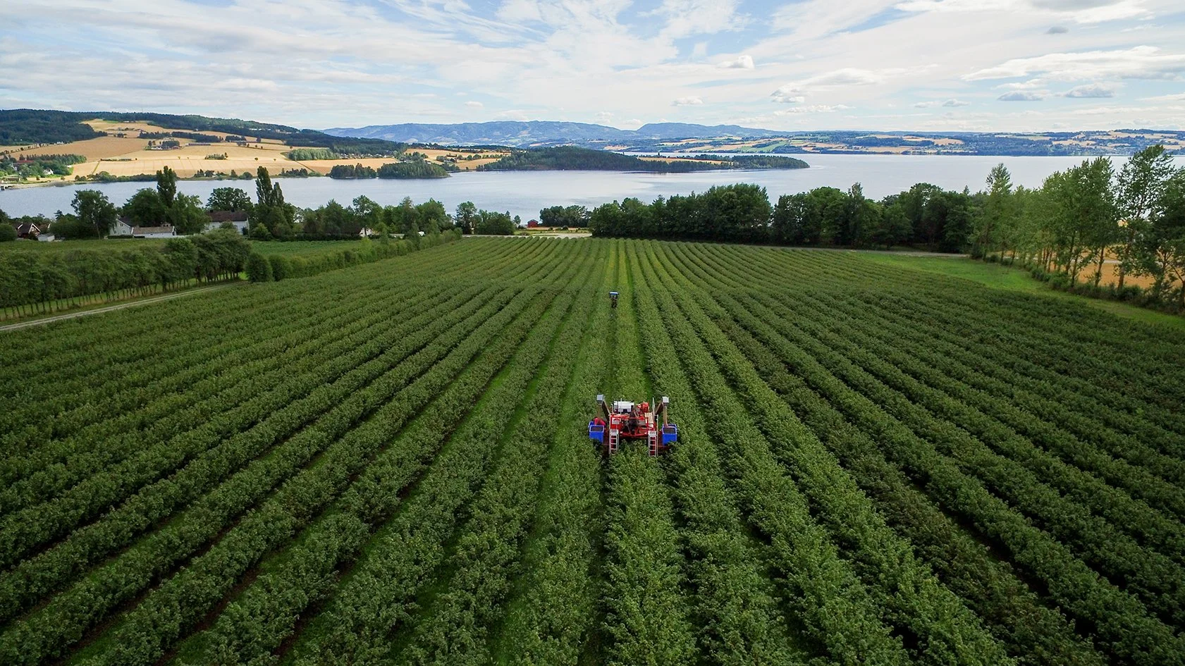 Mõlstad GÜrd-19.jpg