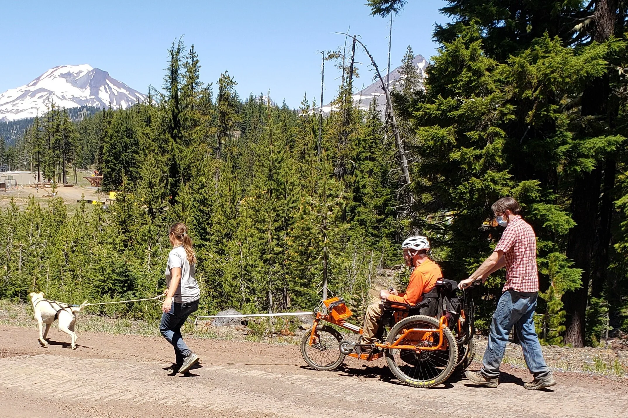 Dog+chairing+at+Mt+Bachelor,++Oregon.jpg