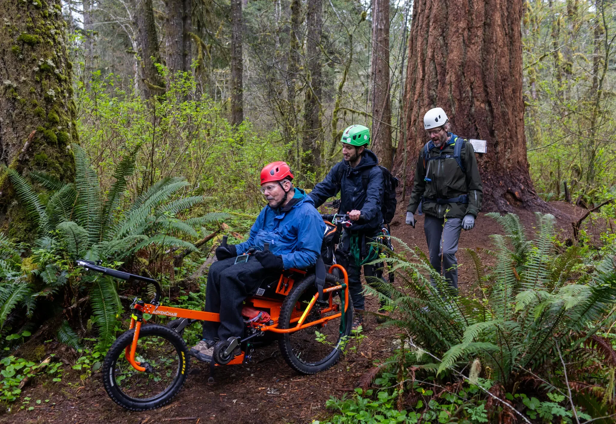 Geoff Babb in his AdvenChair on the tree-climbing trail