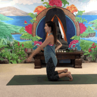 Back Bending Asana Gifs