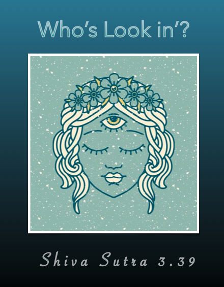 Who's Look In'? Shiva Sutra 3.39