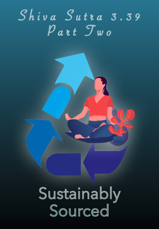 Sustainably Sourced: Shiva Sutra 3.39, Part Two