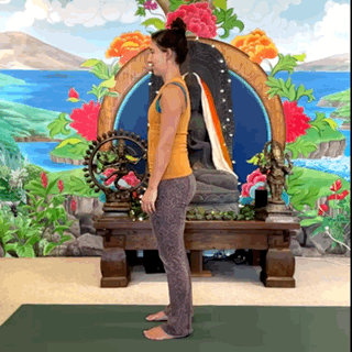 Unweighting from Tadasana (Copy)