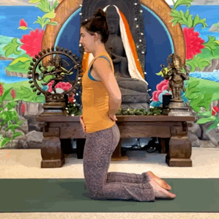 Kneeling pelvic tilts (Copy)