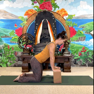 Kneeling roll up (Copy) (Copy) (Copy)