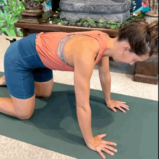 Serratus push Ups