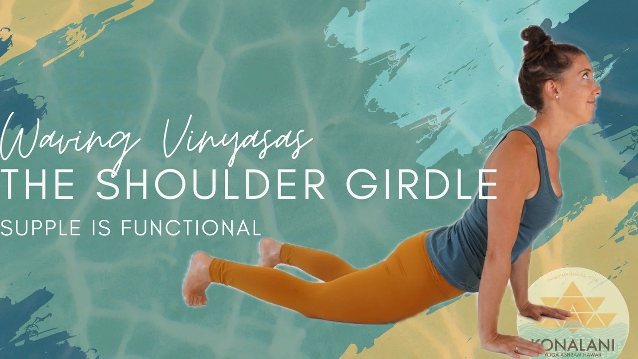 Lesson There •&nbsp;  Full Body Plank, Adho Mukha Svanasana  &amp; Urdhva Mukha Svanasana