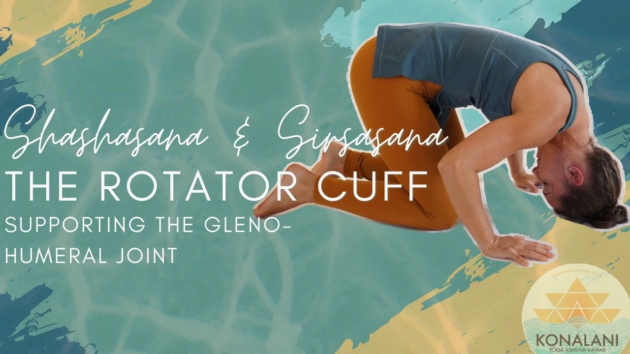 Lesson Four •&nbsp; Shashasana &amp; Sirsasana