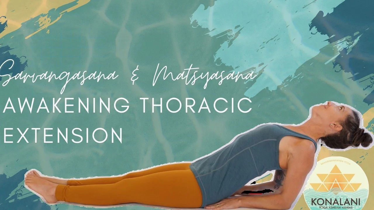 Lesson Five •&nbsp;Sarvangasana &amp; Matsyasana