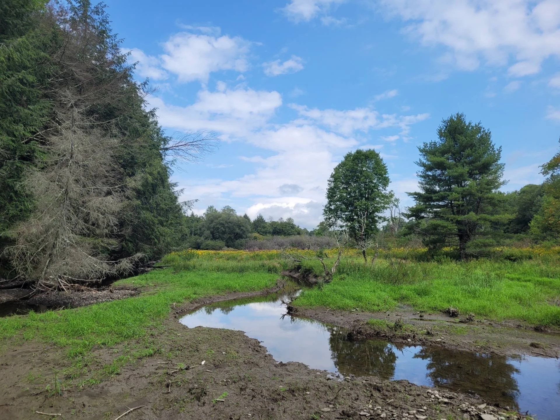 NY Hunting Land in Southern Tier