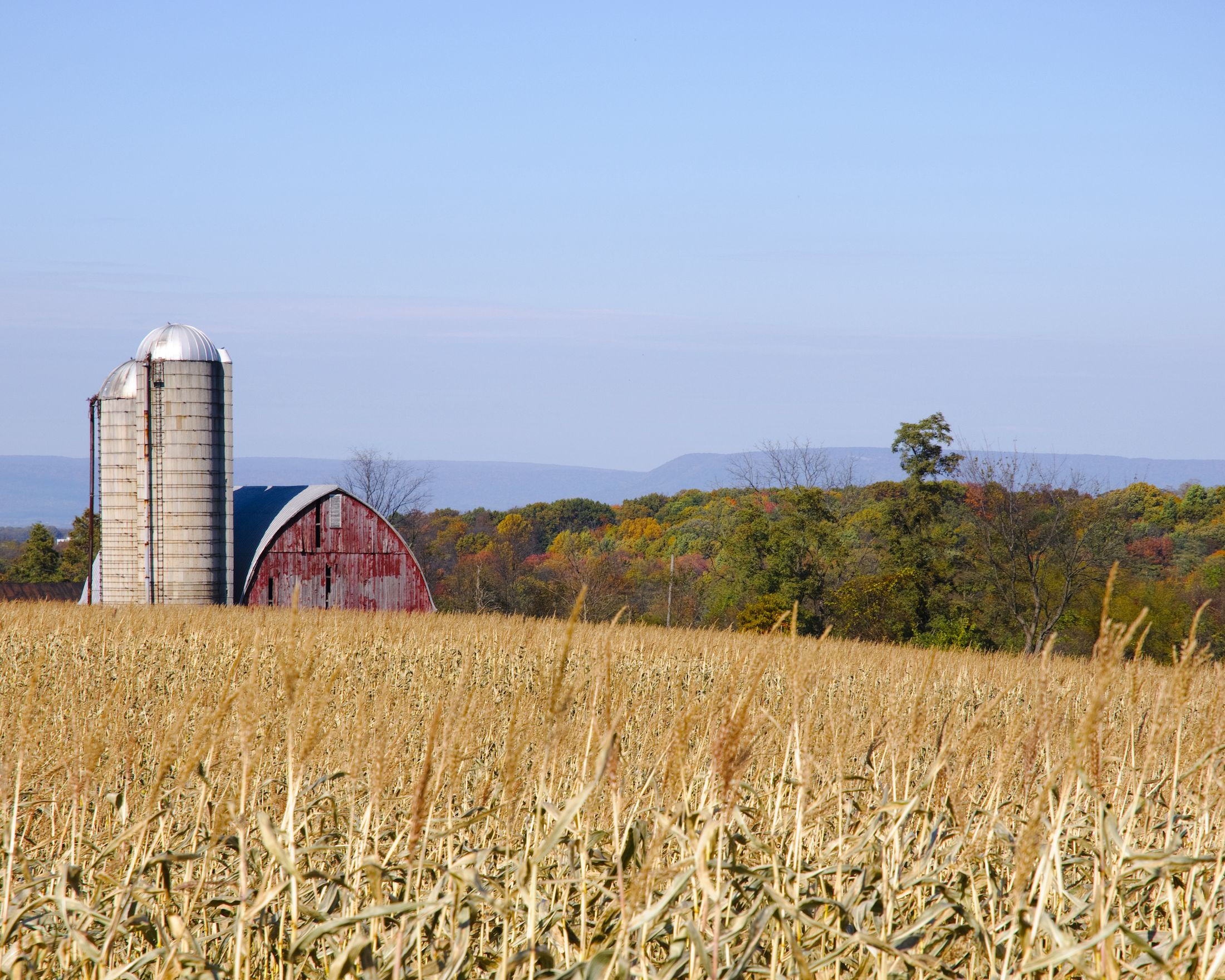 Catskills NY Farms for sale 