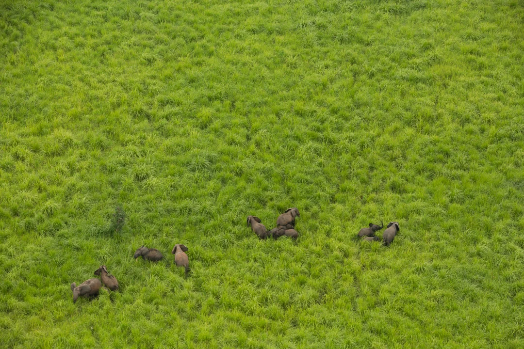 garamba.0001.JPG