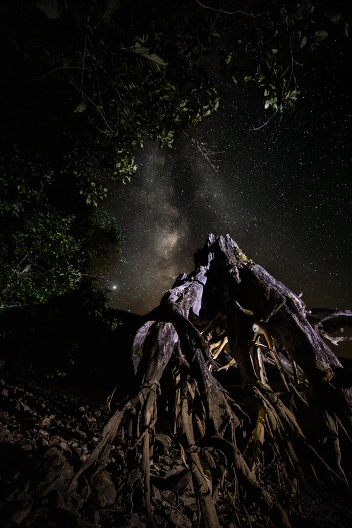 Detroit Lake Milky Way IV