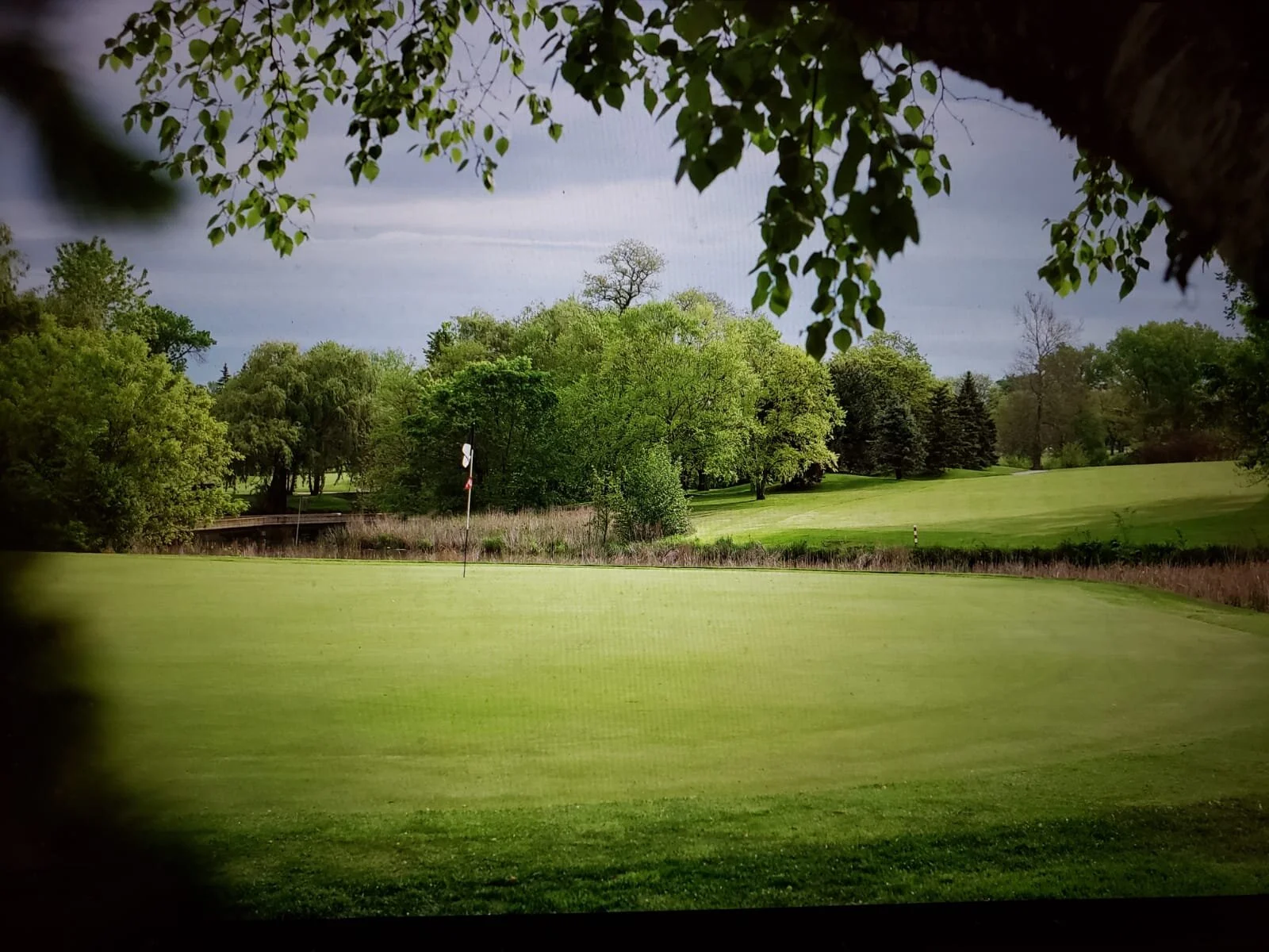 Rachel Teresi Golf - Photo 3