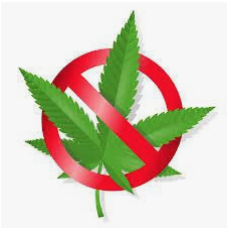 Not every wrong has a remedy (in court, anyway)