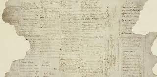 Our Understandings of Te Tiriti Has Evolved Organically.