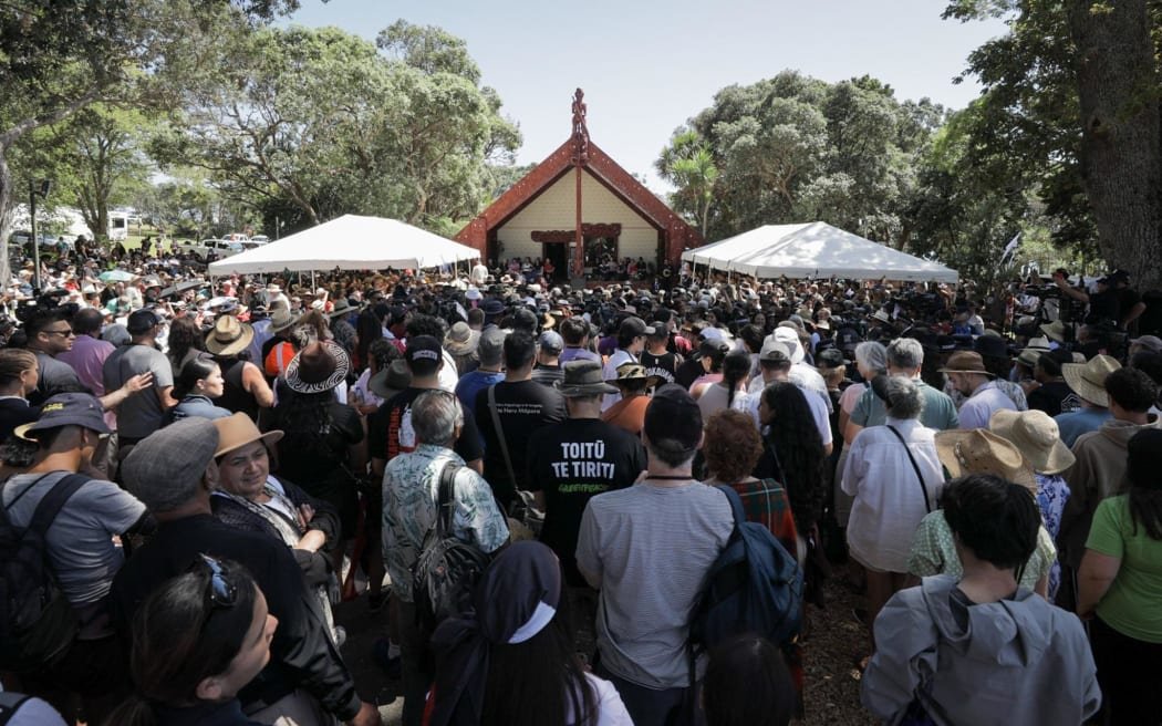 Let's put down our chisels and let te Tiriti o Waitangi evolve