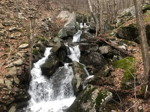 Slate Ridge Run Slate Run Trail Race 25k & Half . June 1, 2024 . Slate Run, PA — PA ...