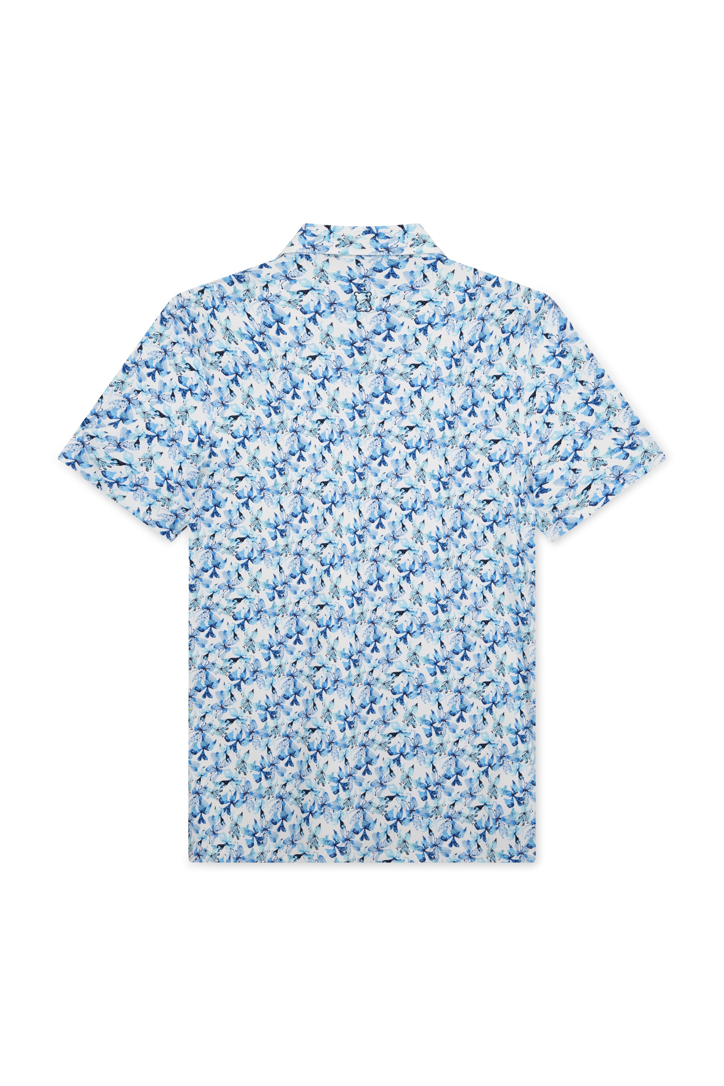 messy teddy flat lay e-commerce white background04465.jpg