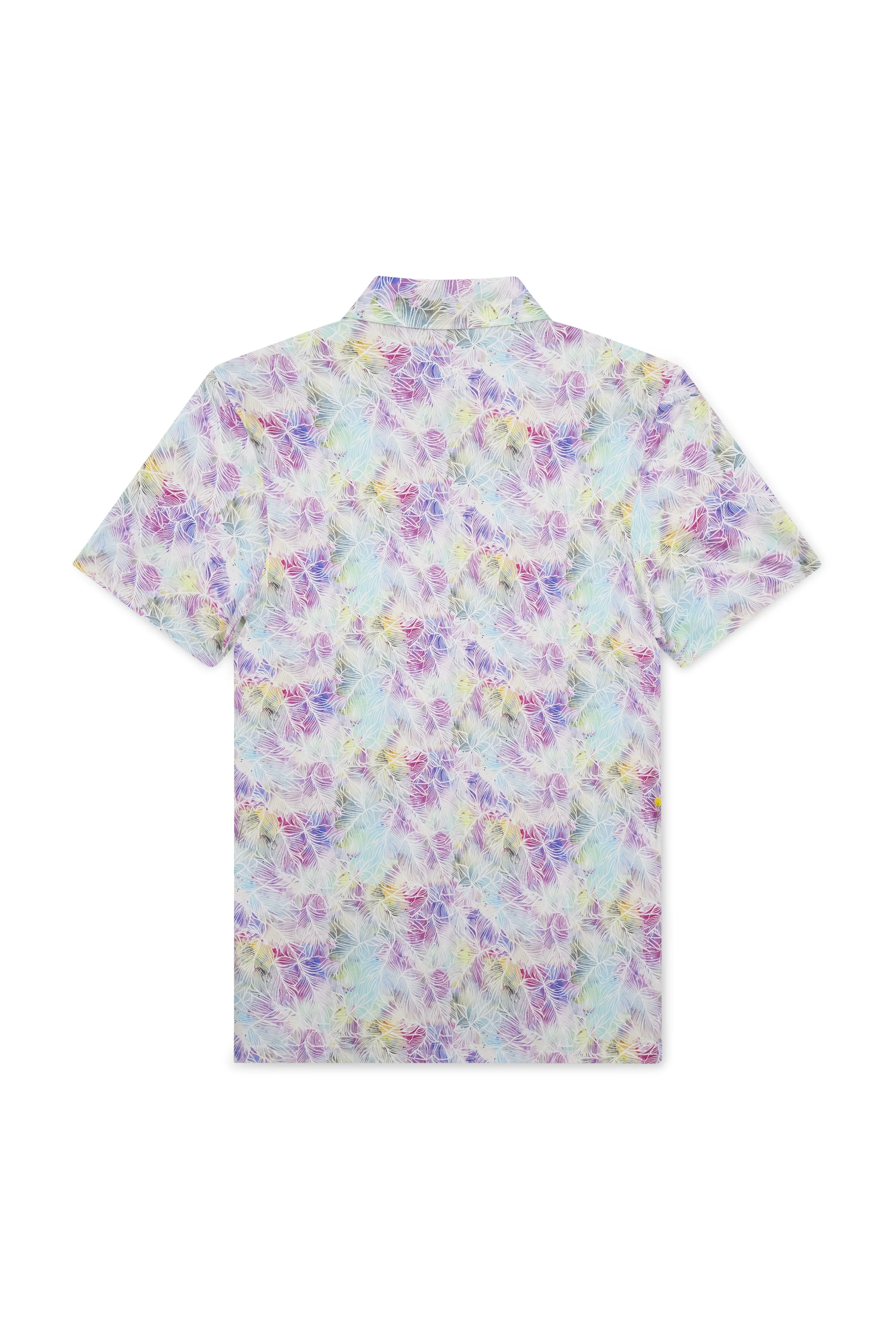 messy teddy flat lay e-commerce white background04562.jpg