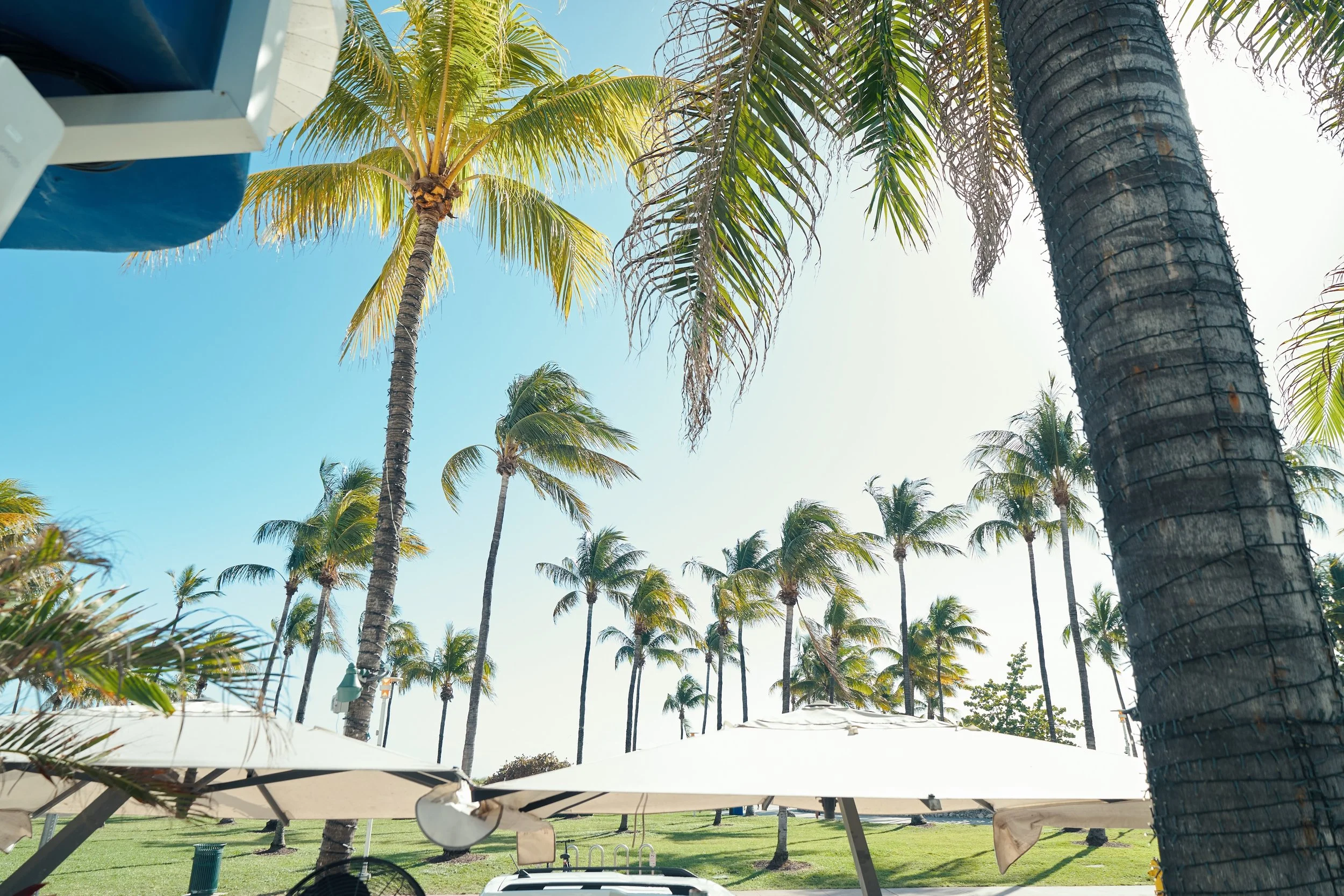 park central miami beach-south-beach-miami-hotel-hospitality-evergreen-ocean-drive9157.jpg