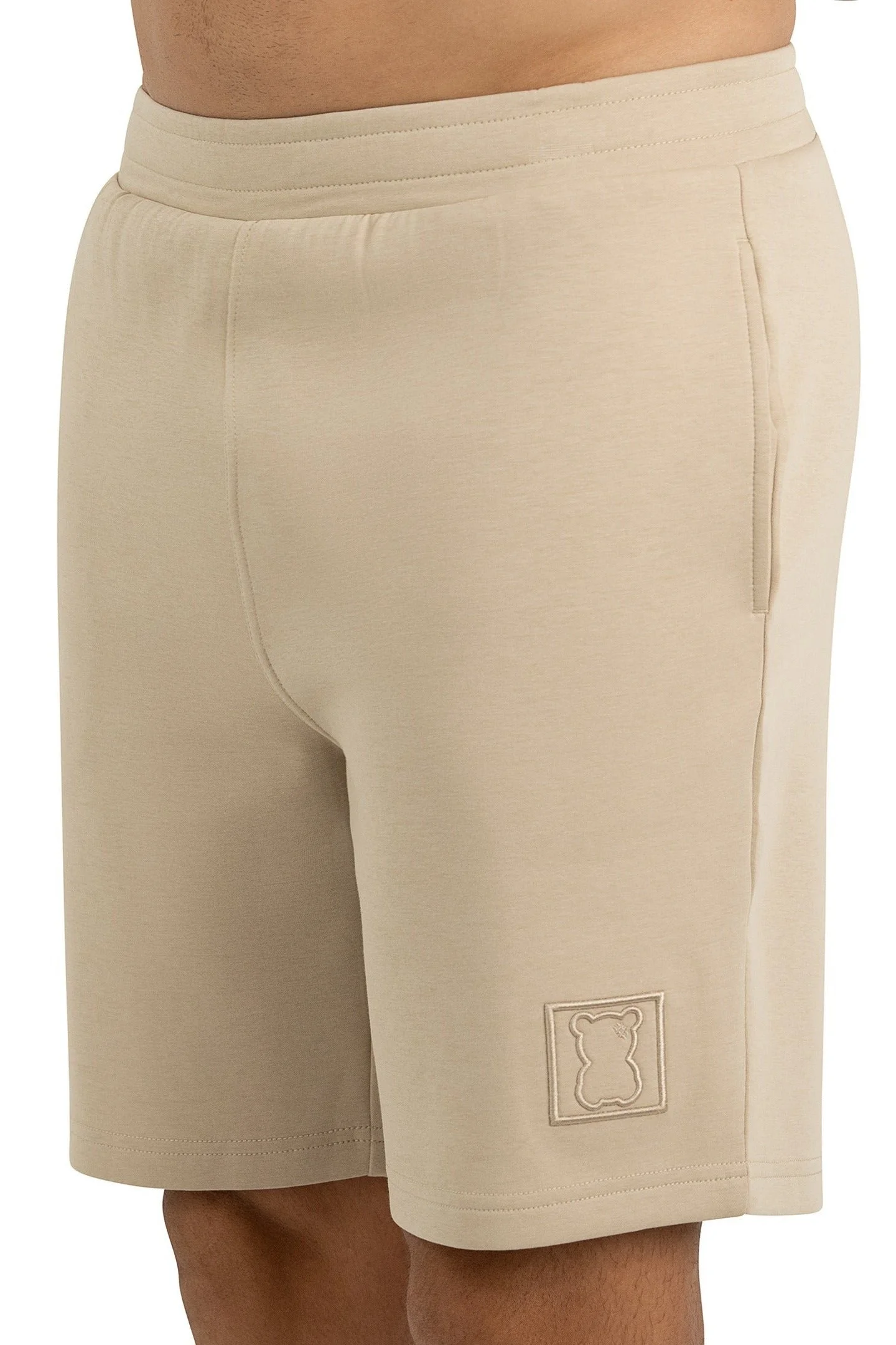 messy teddy e-commerce tan shorts on model front.jpg