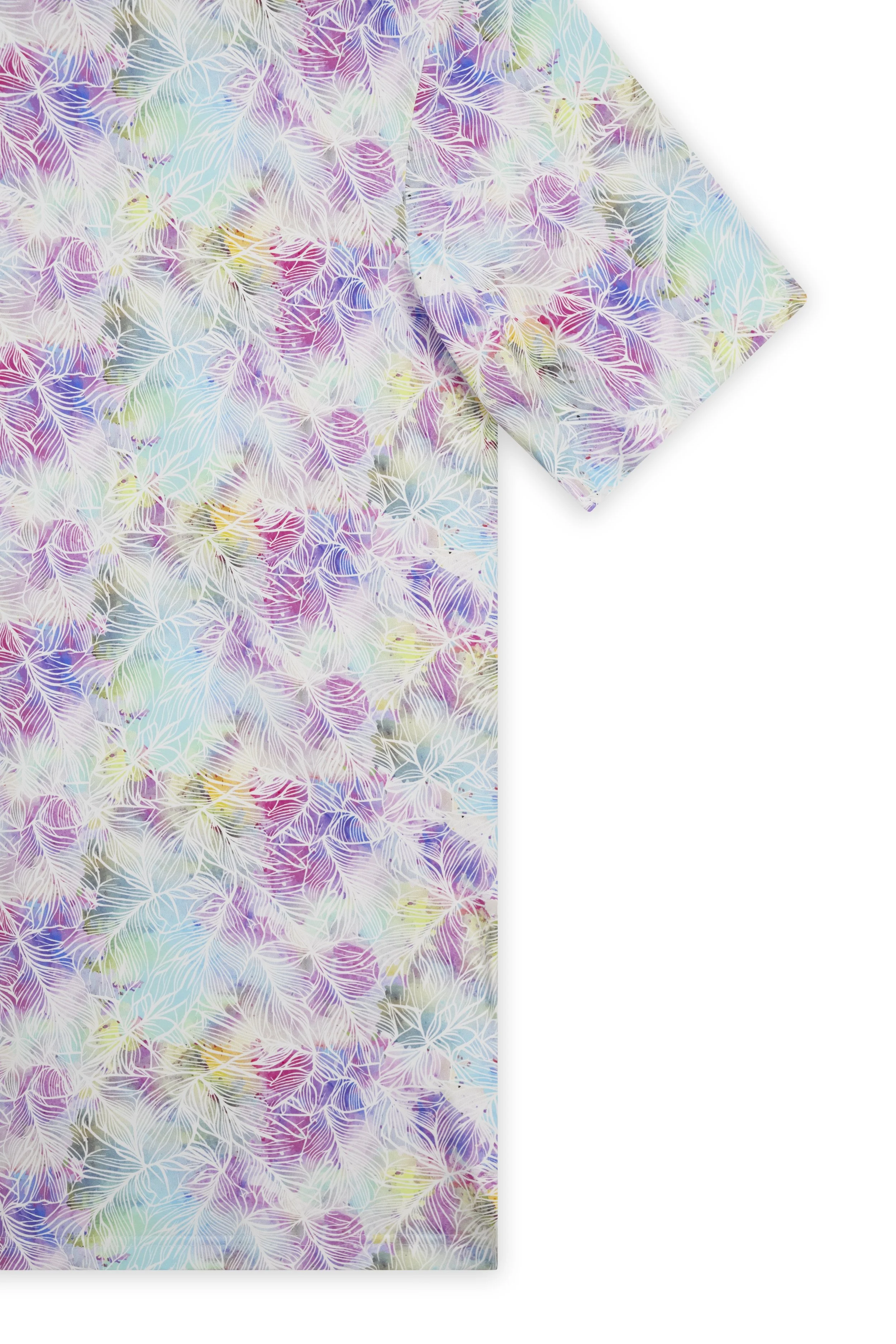 messy teddy flat lay e-commerce white background04545.jpg