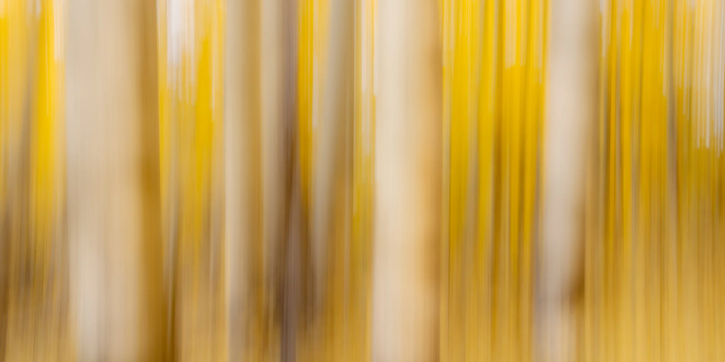 Aspen-Motion---01---print----pano(sRGB).jpg
