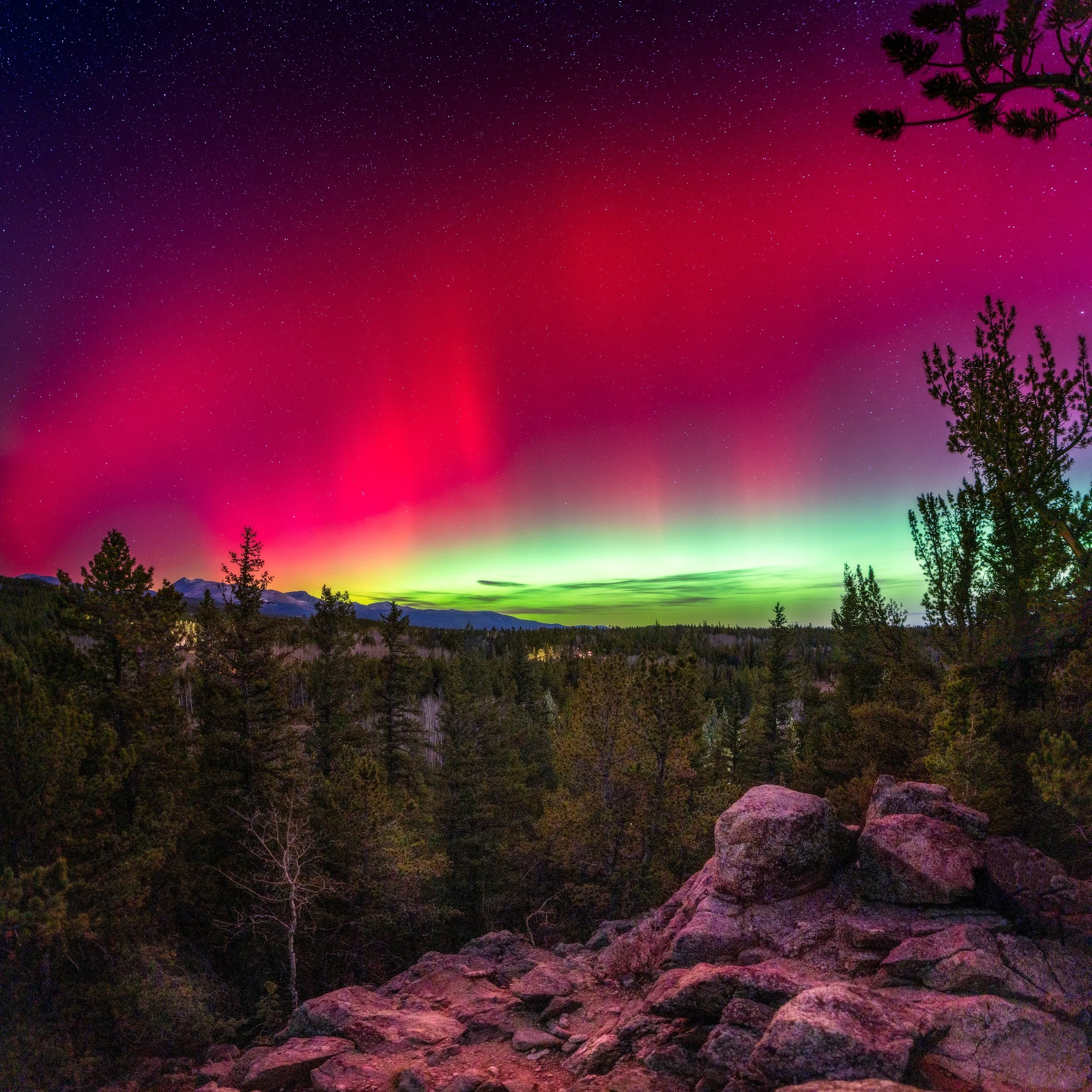Northern-Lights---Refuge---01---adjust-flat.jpg