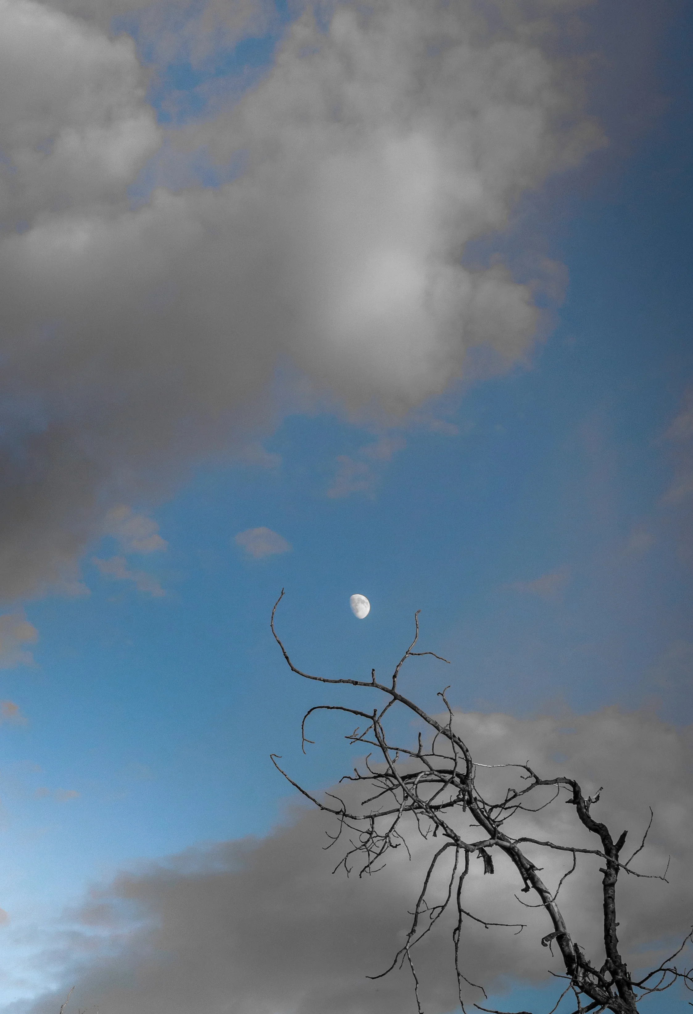 Reaching for the Moon